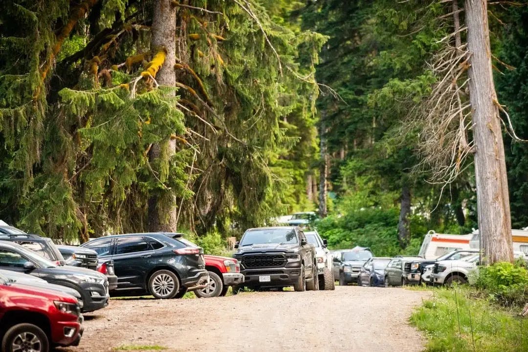 Row of parked cars lined up on a dirt road surrounded by dense forest.