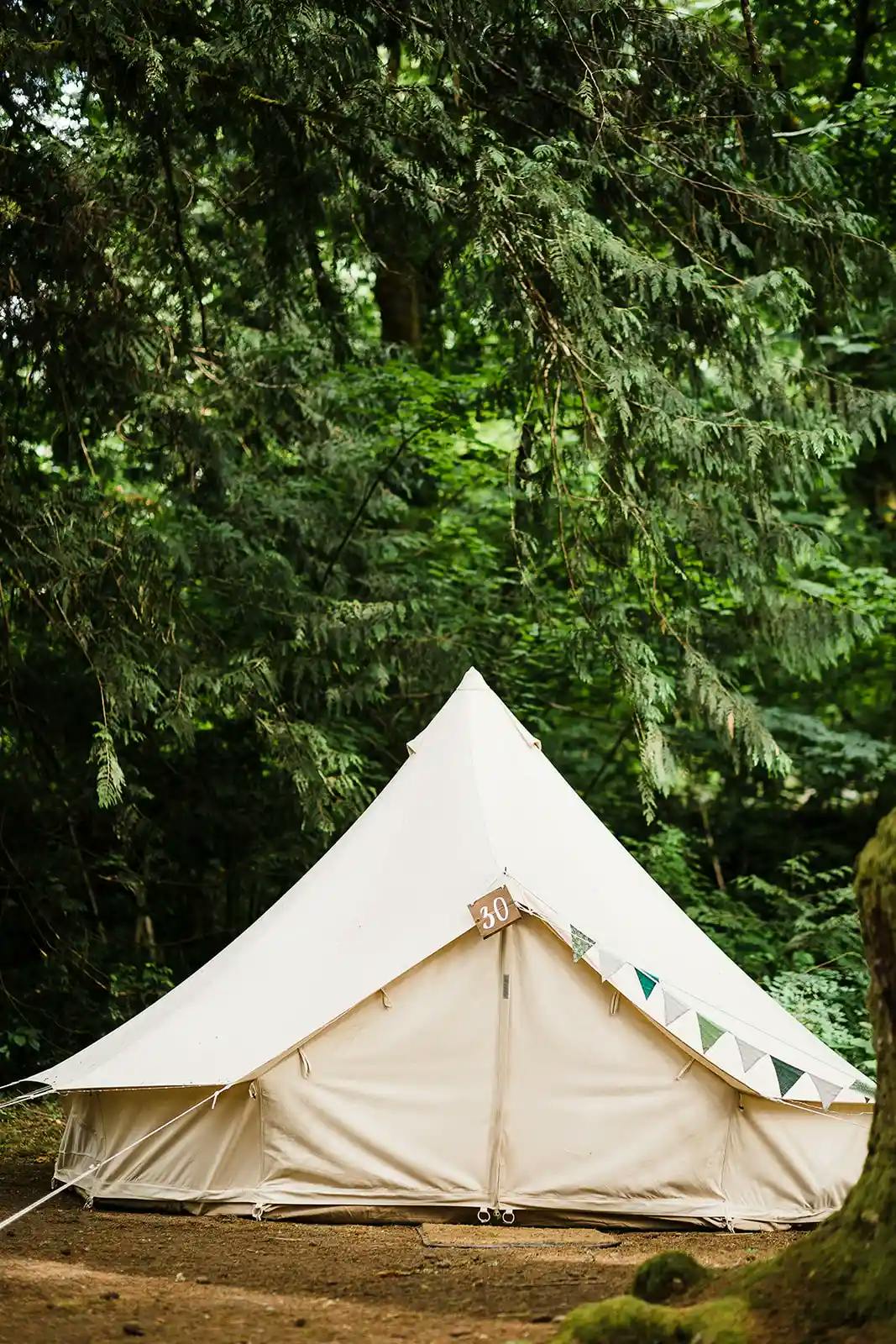 White tent pitched in a lush forest.