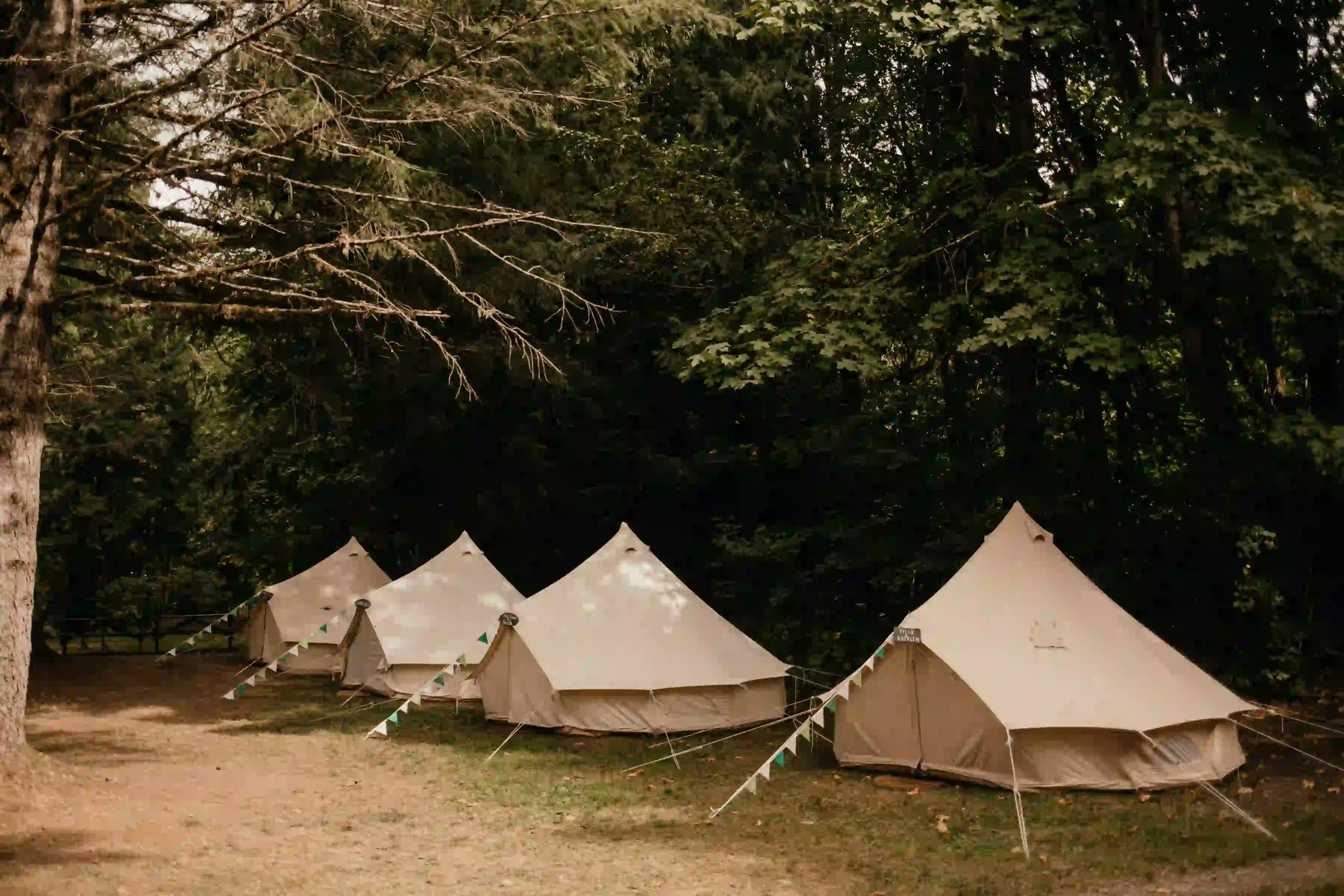 Row of white tents in a wooded camping area.