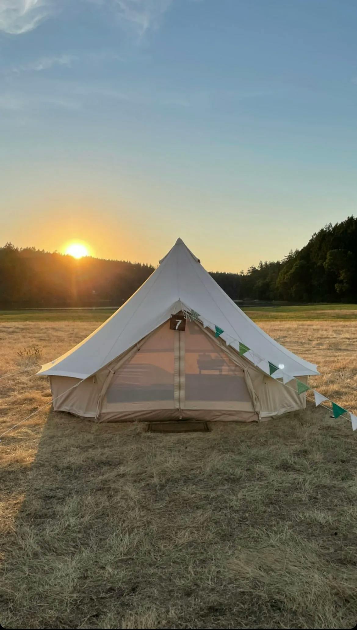 Tent in an open field at sunset with warm sky.