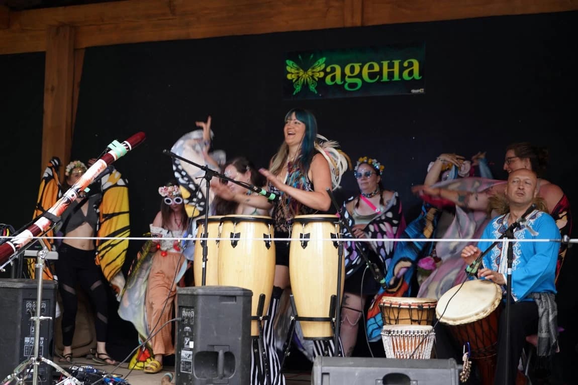 A musical performance on AgeHa stage with vibrant butterfly costumes and face paint.