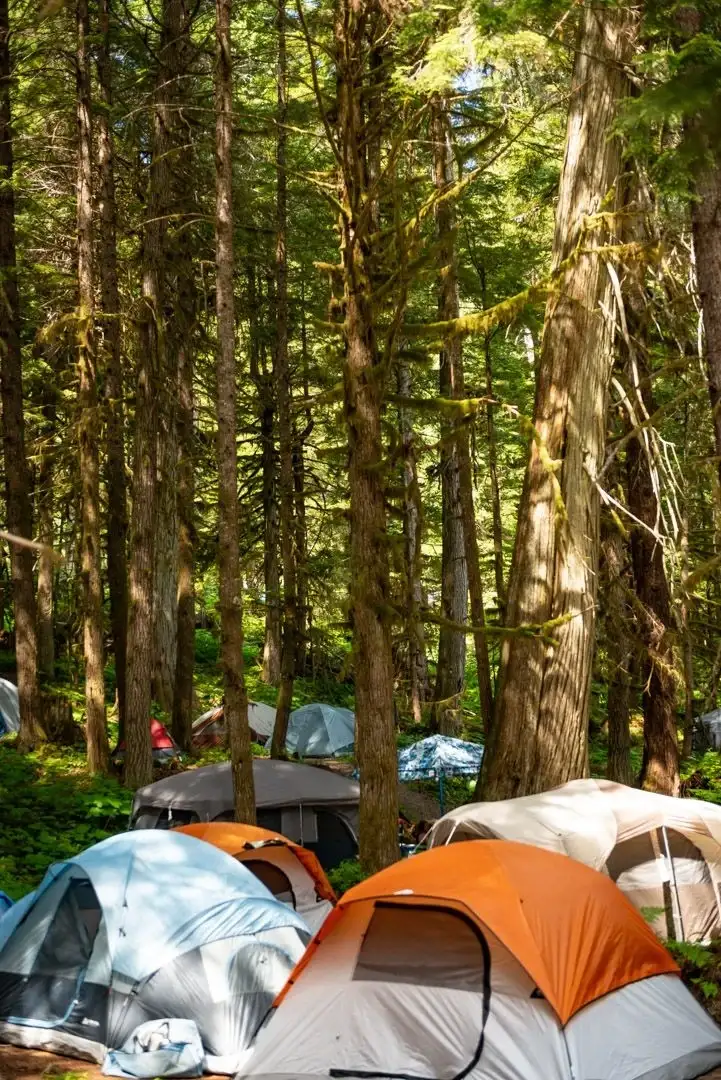 Camping at Valhalla with tents, campers, vehicles, and cabins in an old growth forest setting.