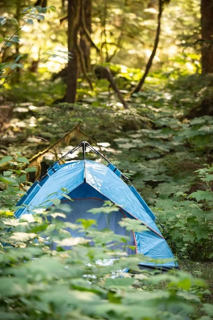 Camping at Valhalla with tents, campers, vehicles, and cabins in an old growth forest setting.