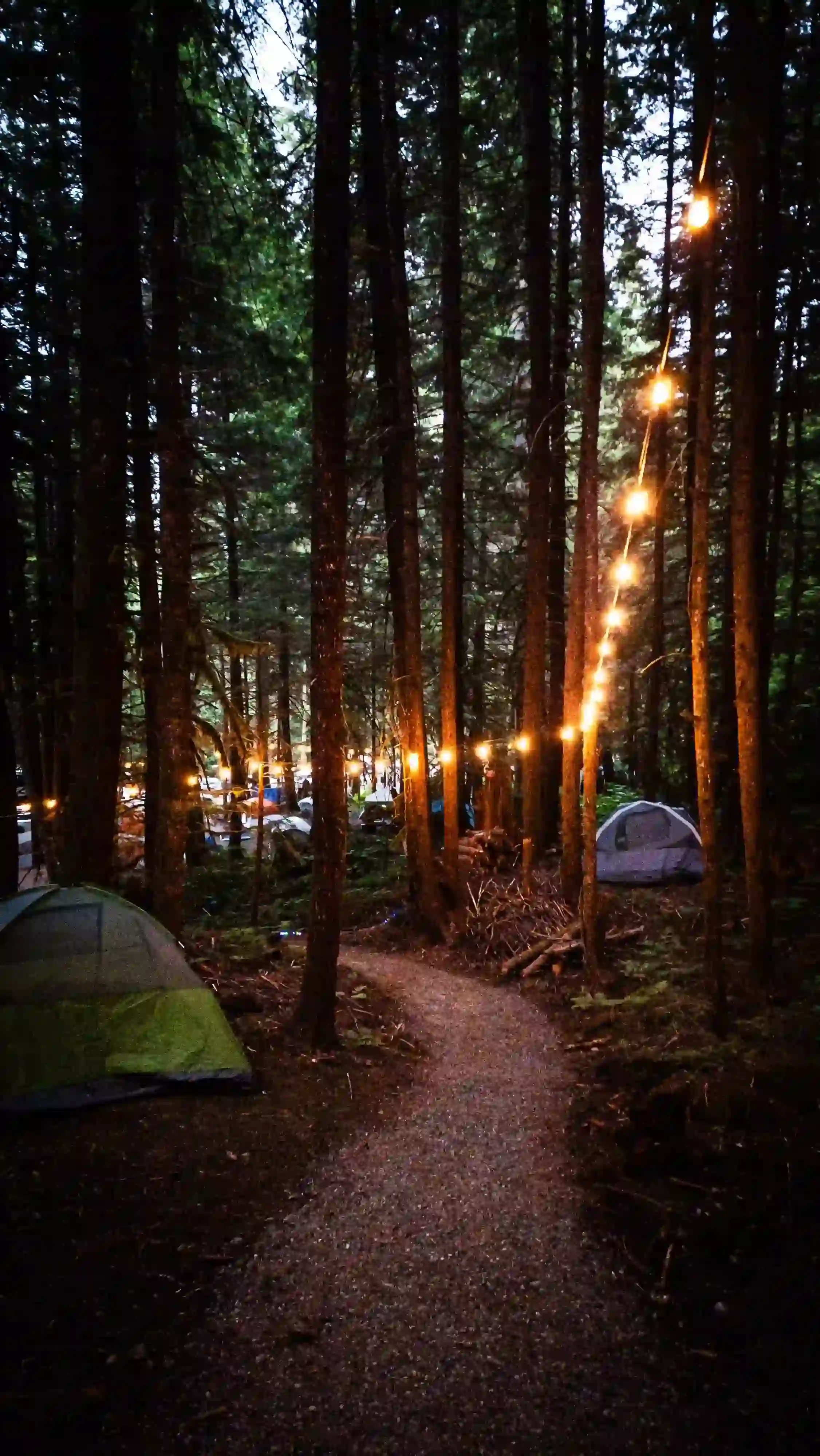 Camping at Valhalla with tents, campers, vehicles, and cabins in an old growth forest setting.