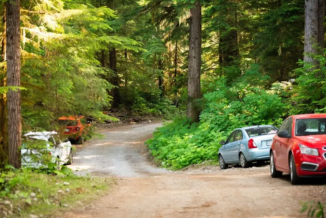 Camping at Valhalla with tents, campers, vehicles, and cabins in an old growth forest setting.