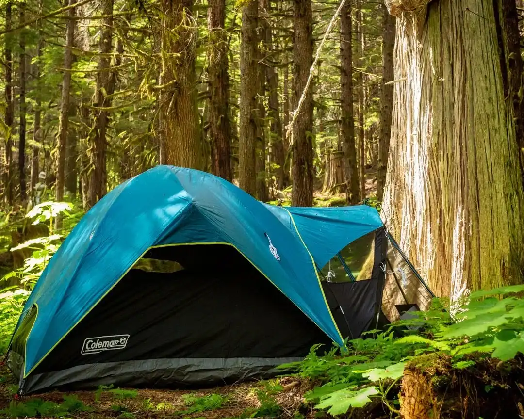 Camping at Valhalla with tents, campers, vehicles, and cabins in an old growth forest setting.