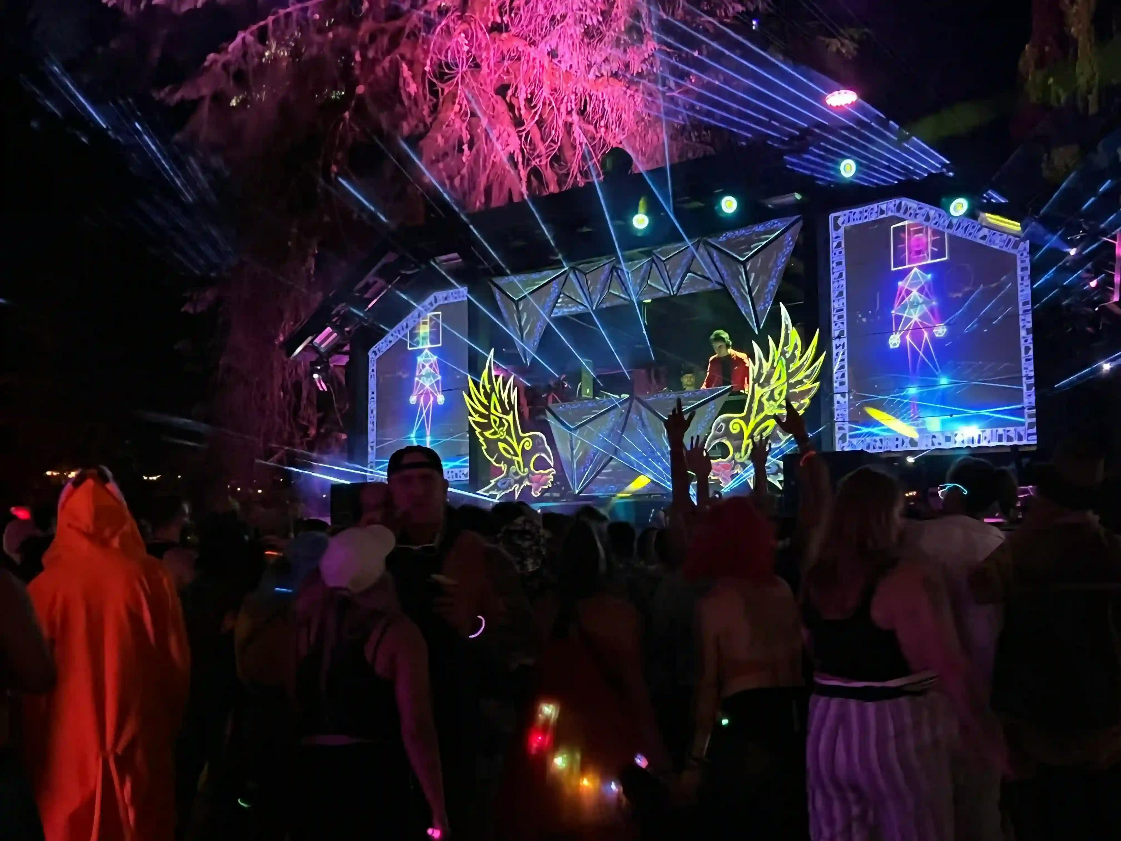 A crowd enjoying a nighttime DJ performance at ValhallaFest Asgard.