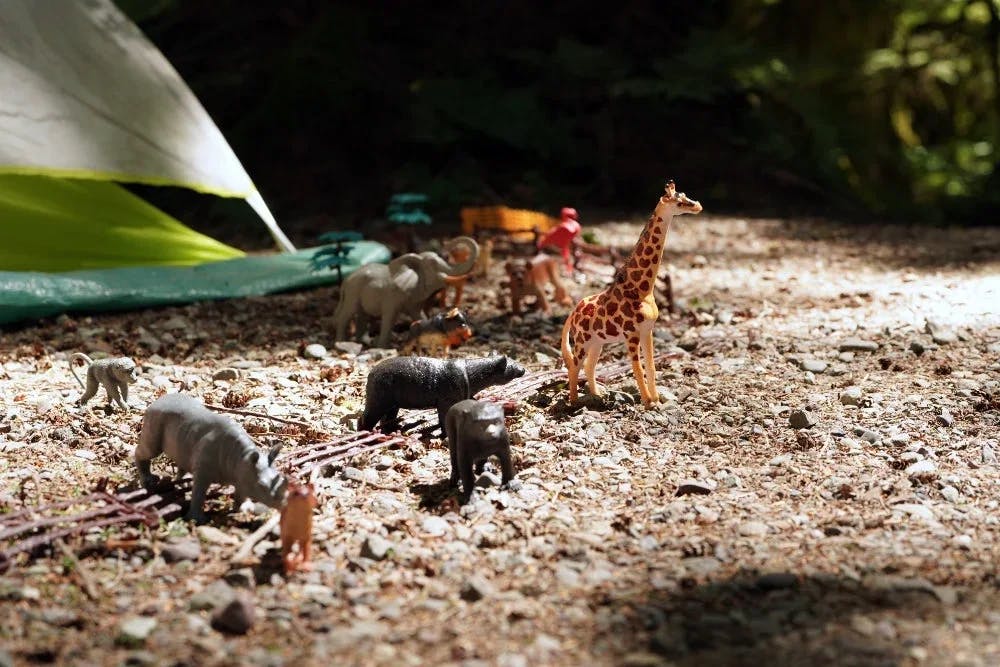Toy animals on a gravel surface with a tent in the background, suggesting a miniature camping scene.